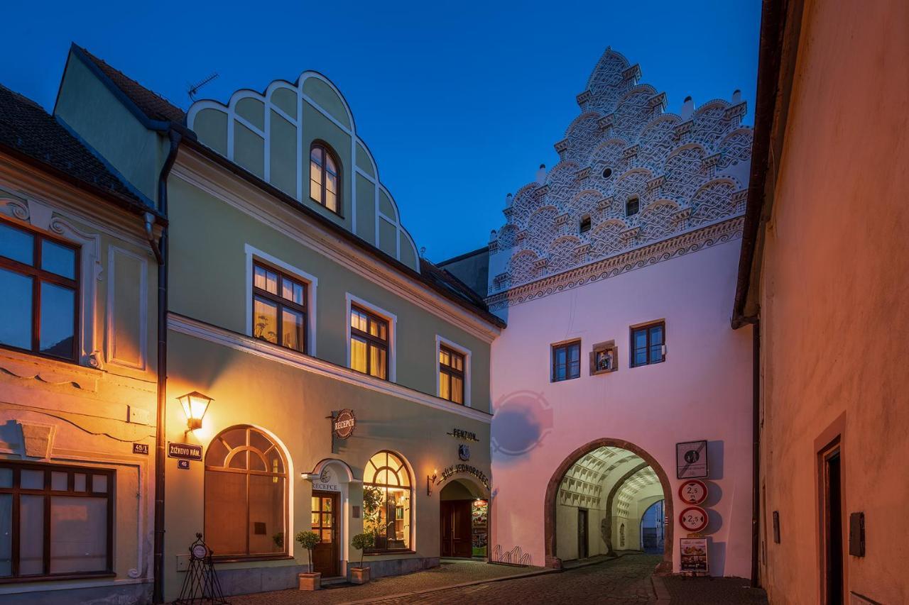 Hotel Bily Jednorozec トレボン エクステリア 写真