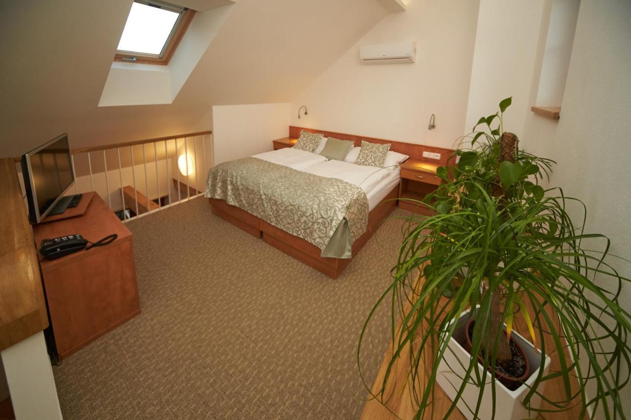 Hotel Bily Jednorozec トレボン エクステリア 写真